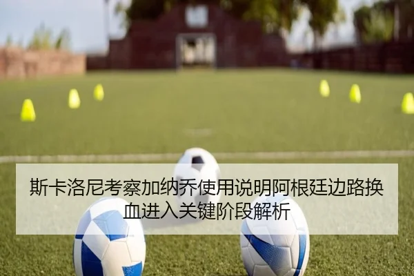 斯卡洛尼考察加纳乔使用说明阿根廷边路换血进入关键阶段解析